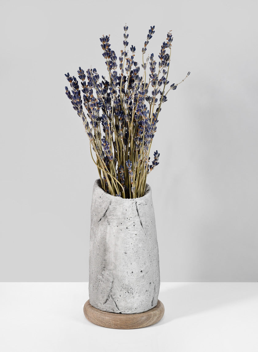 6in Tall Lava Cement Vase Decor Jamaligarden