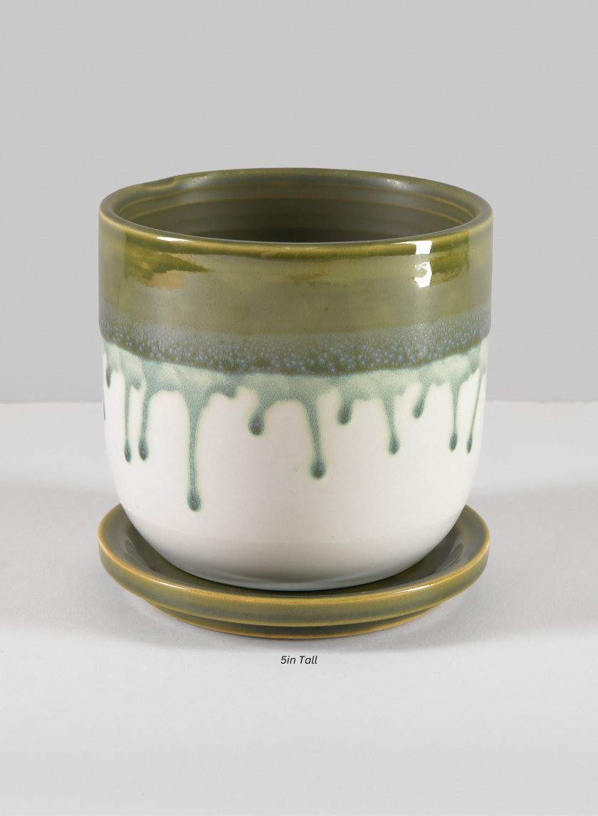Harami Running Green Pot with Saucer Decor Jamaligarden Green and White 5in Tall EACH
