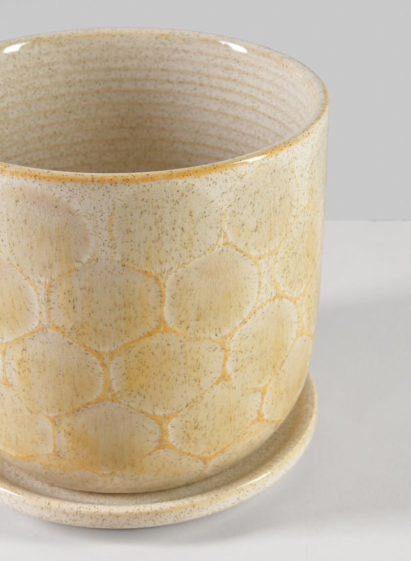 6in Tall Safaga Pot with Saucer Decor Jamaligarden