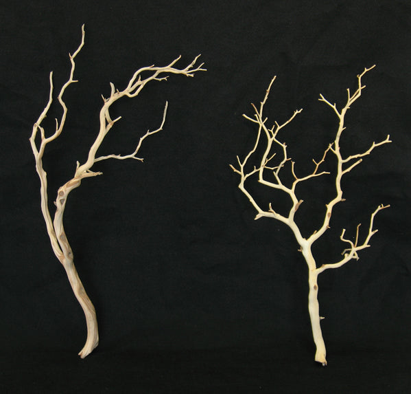 2ft &amp; 3ft Sanded Manzanita Branches Decor Jamaligarden