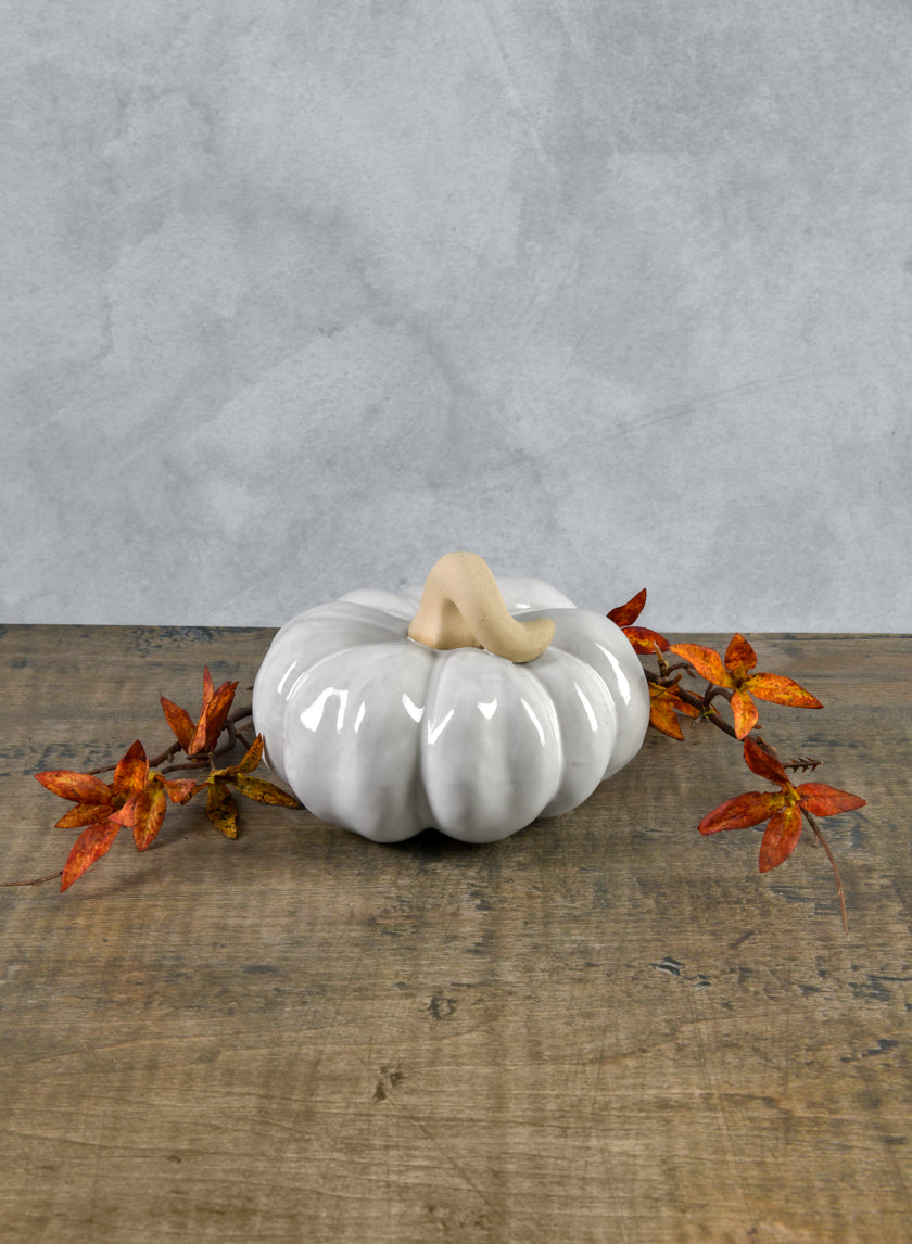 6in Wide Porcelain White Wash Pumpkins Decor Jamaligarden
