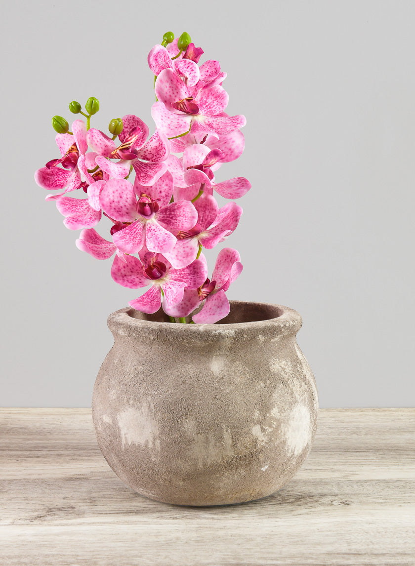 6in Wide Petra Aged Clay Bowl Planter Decor Jamaligarden