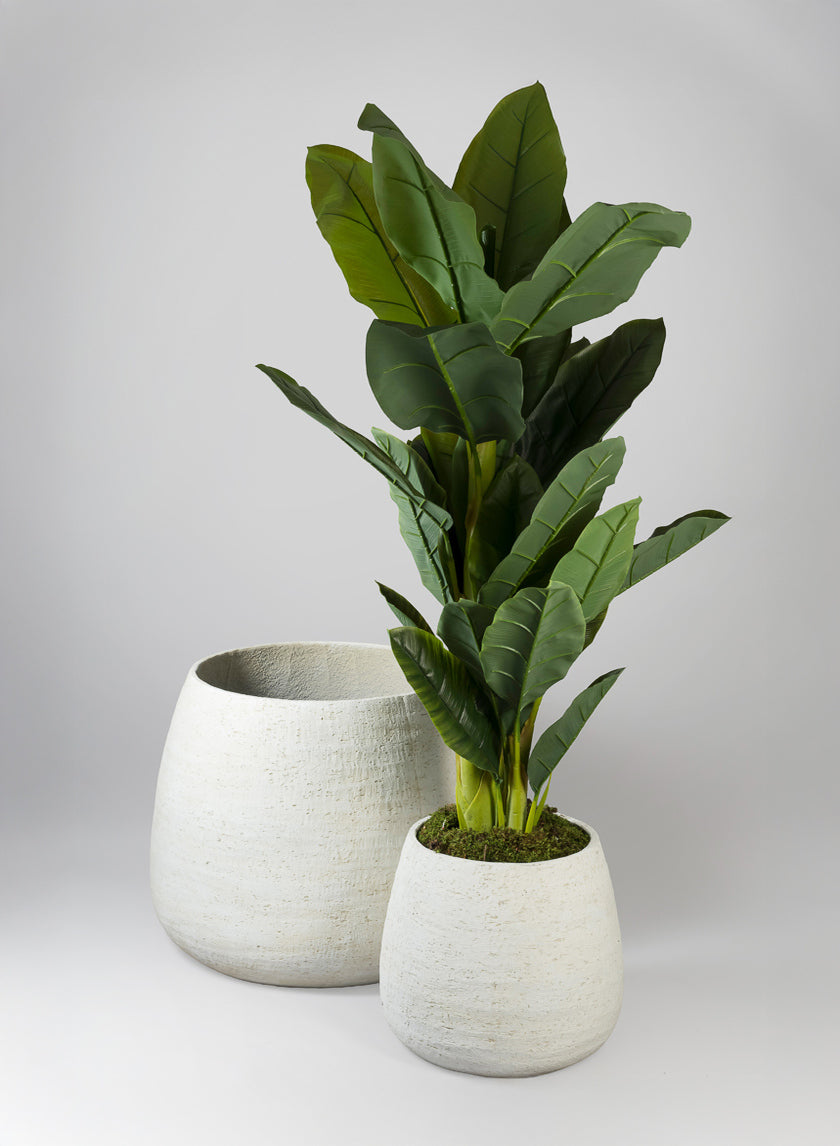 Essaouira Fiber Cement Bell Pot, Rustic White Decor Jamaligarden