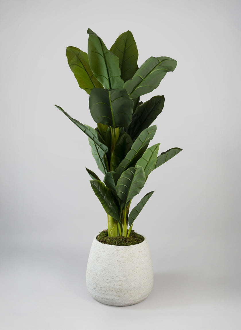 Essaouira Fiber Cement Bell Pot, Rustic White Decor Jamaligarden
