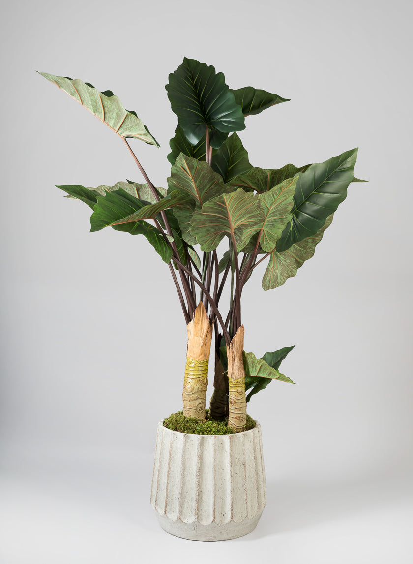 Medium Agadir Ridged Fiber Cement Planter Decor Jamaligarden