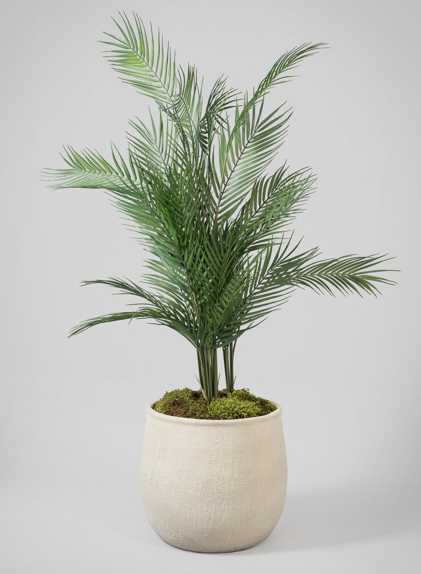Tangier Fiber Cement Planter Decor Jamaligarden