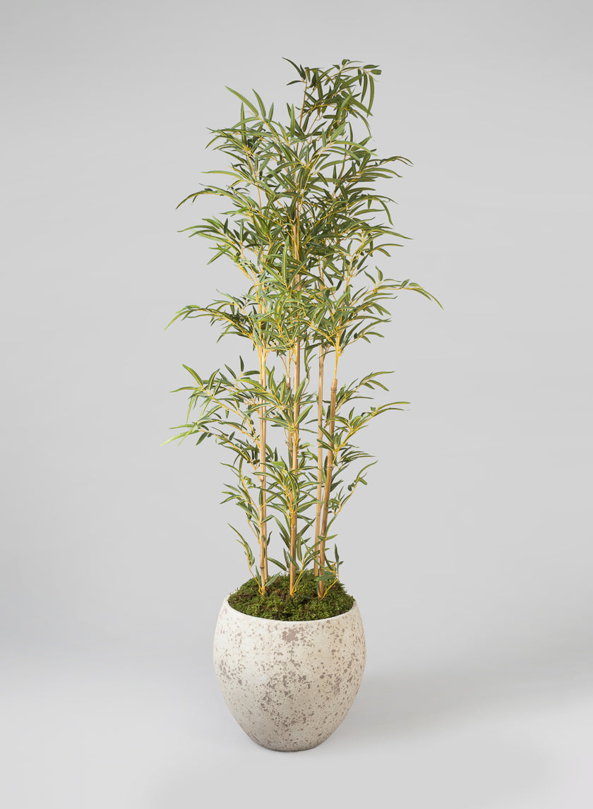 Safi Fiber Cement Egg Planters Decor Jamaligarden