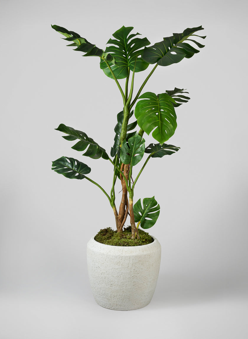 Large Meknes Fiber Cement Planters, Rustic White Decor Jamaligarden