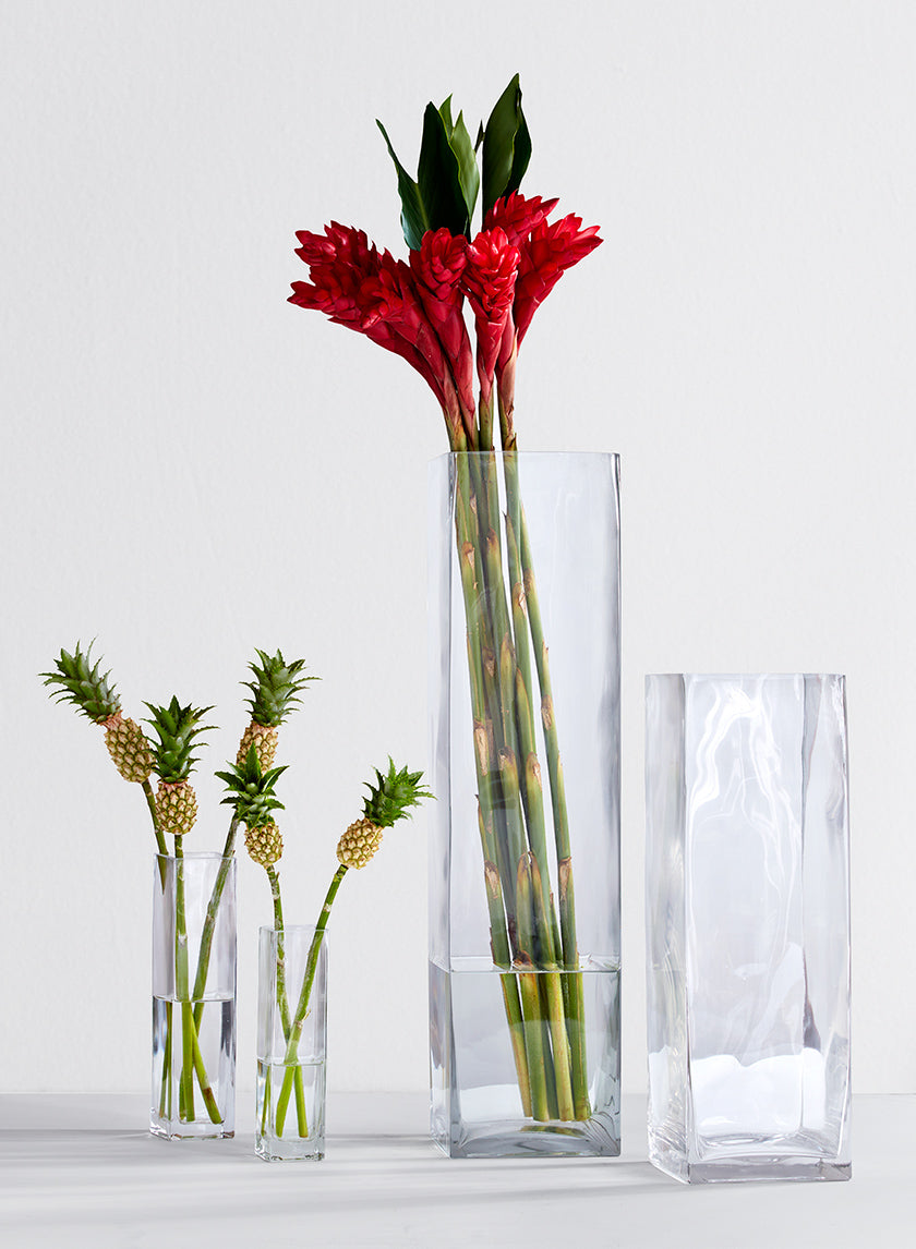8in Tall Square Glass Bud Vase Decor Jamaligarden