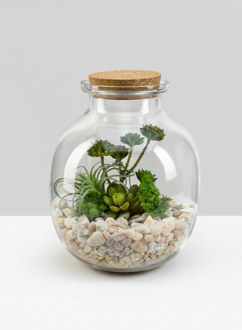 9.5in Tall Iguasu Jar Glass Terrarium with Cork Decor Jamaligarden