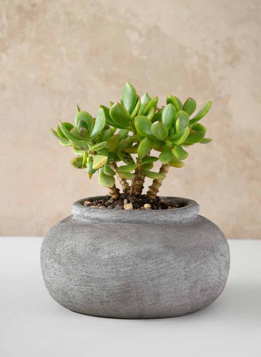 8in Wide Iquitos Venetian Grey Ceramic Bowl Decor Jamaligarden