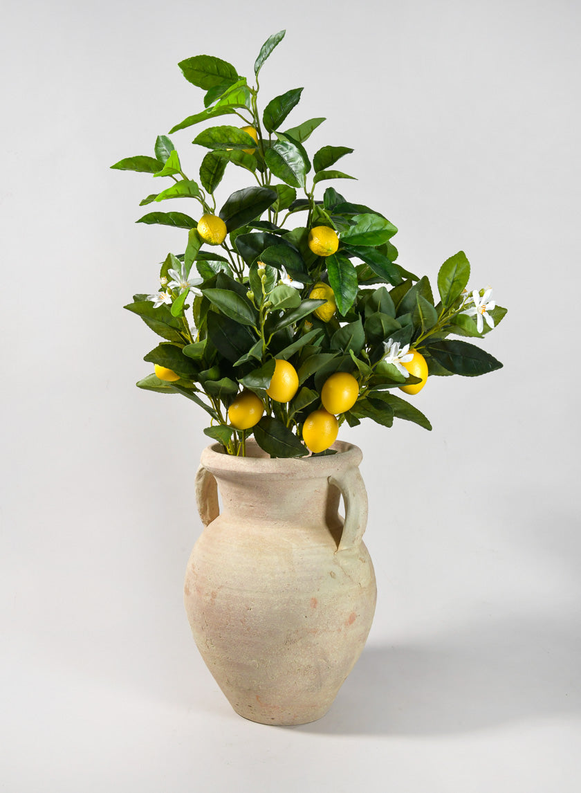 12.5in Tall Ethos Clay Jar with Handles Decor Jamaligarden