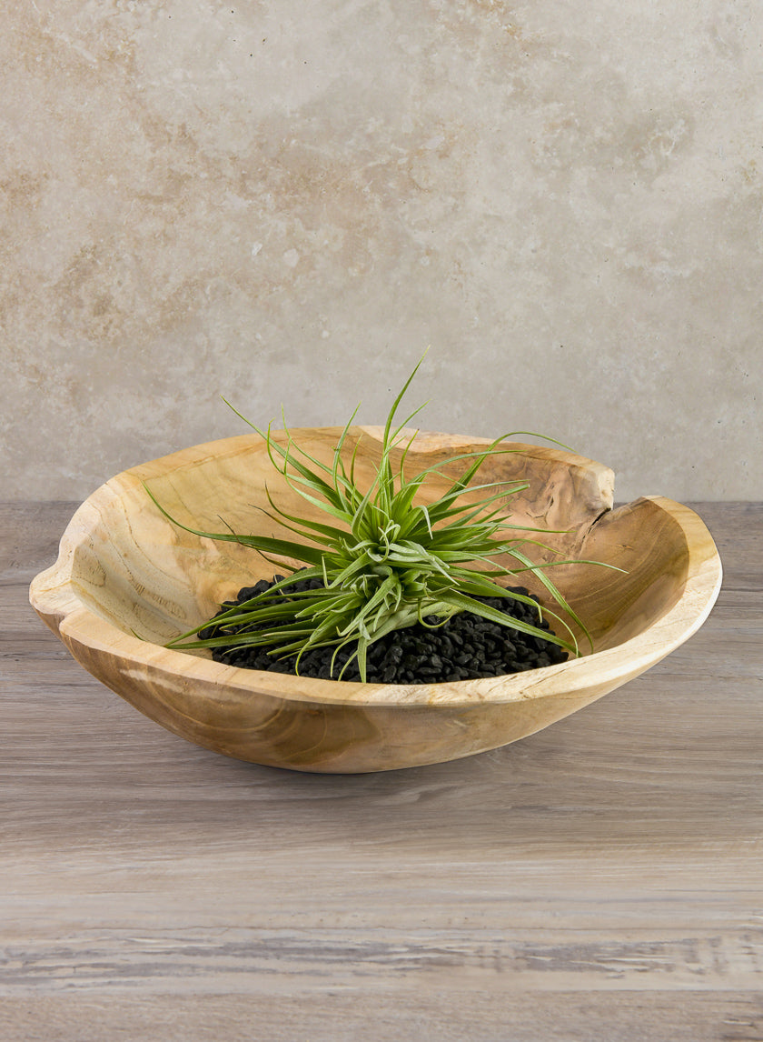 12in Wide Makassar Teak Dish Wood Bowl Decor Jamaligarden