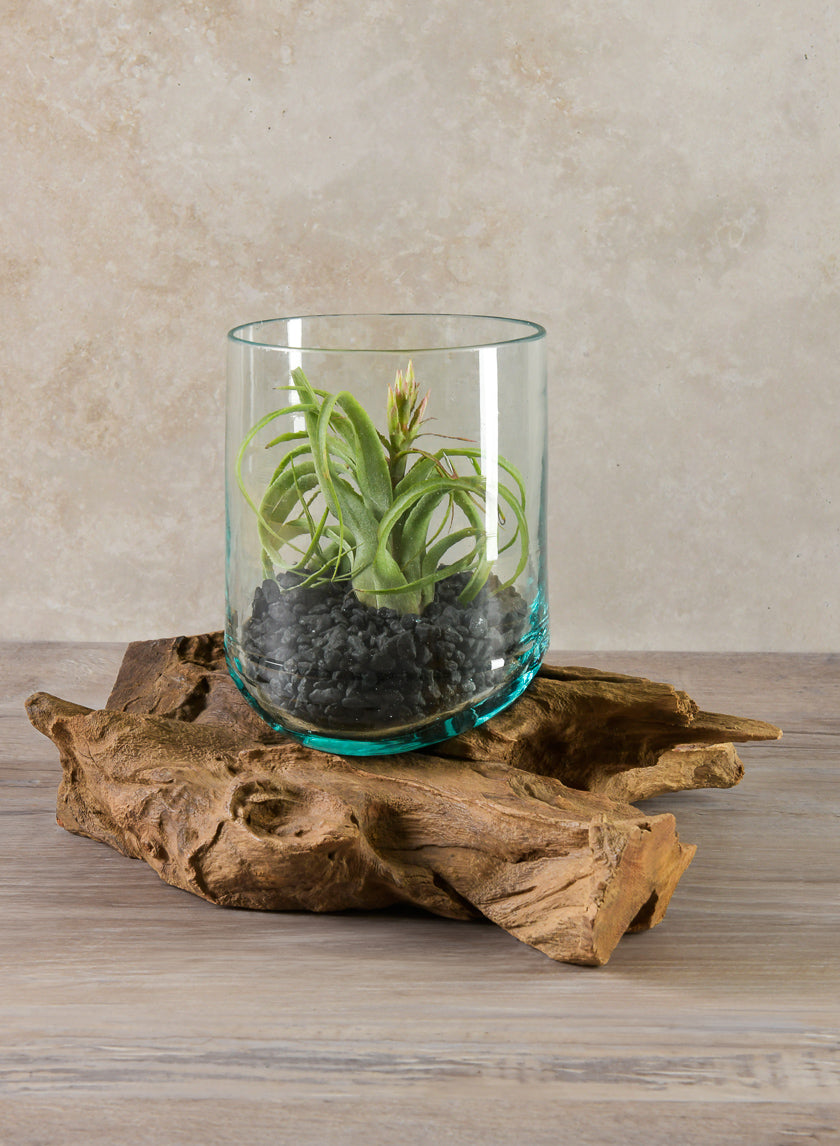 Jakarta Teak Stump With Glass Cylinder, Large Decor Jamaligarden