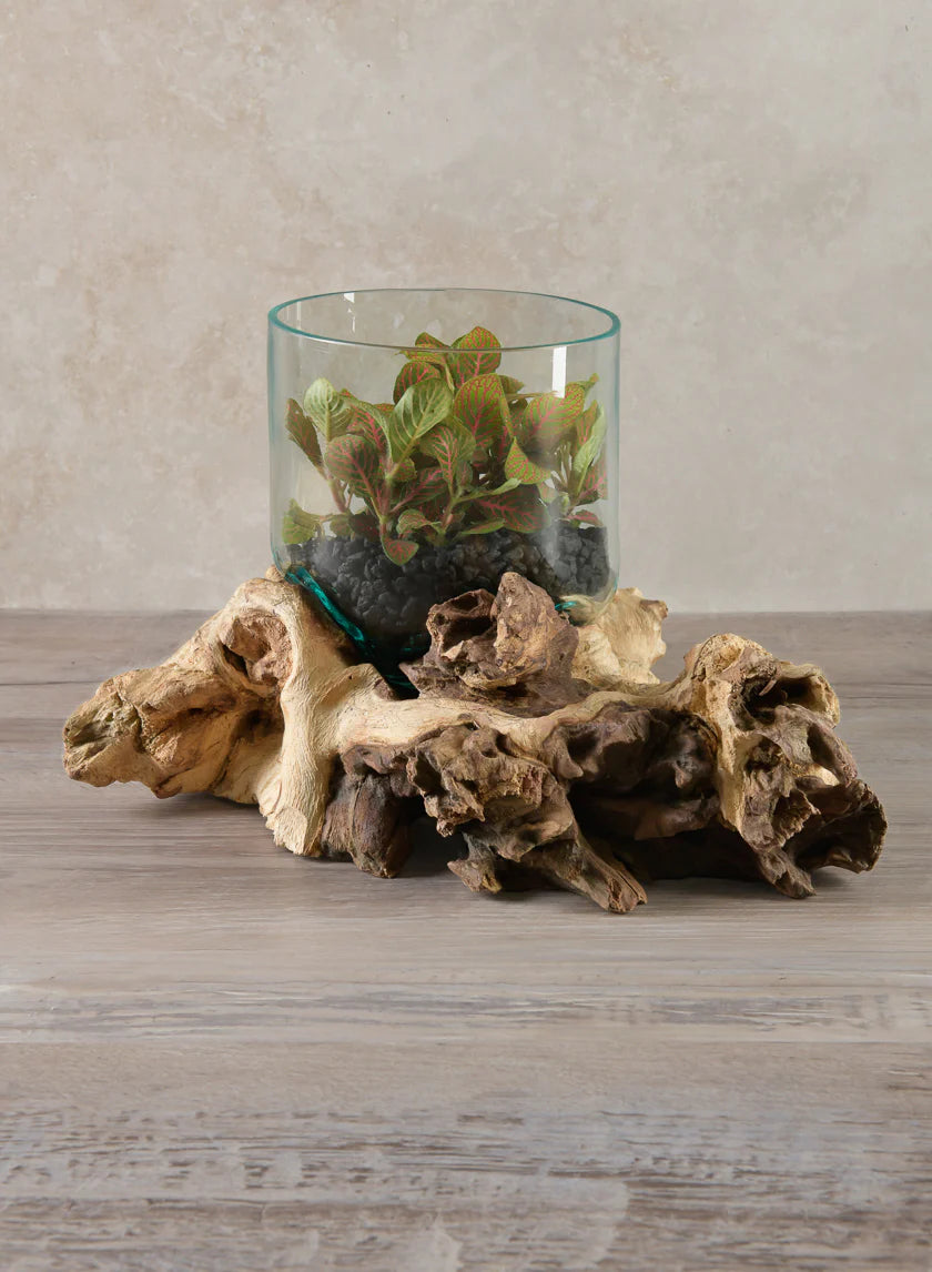 Jakarta Teak Stump With Glass Cylinder, Small Decor Jamaligarden