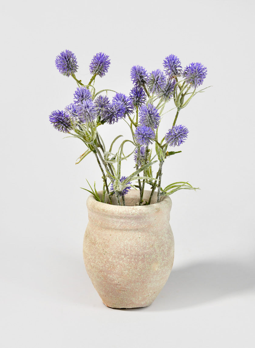 5in Tall Skyphos Pot, Mini Decor Jamaligarden