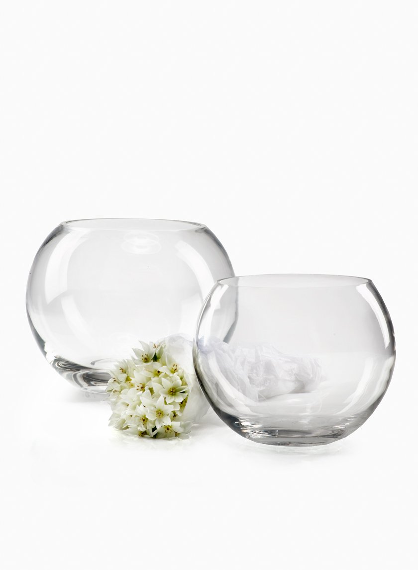 10in Wide Fish Glass Bowl Decor Jamaligarden