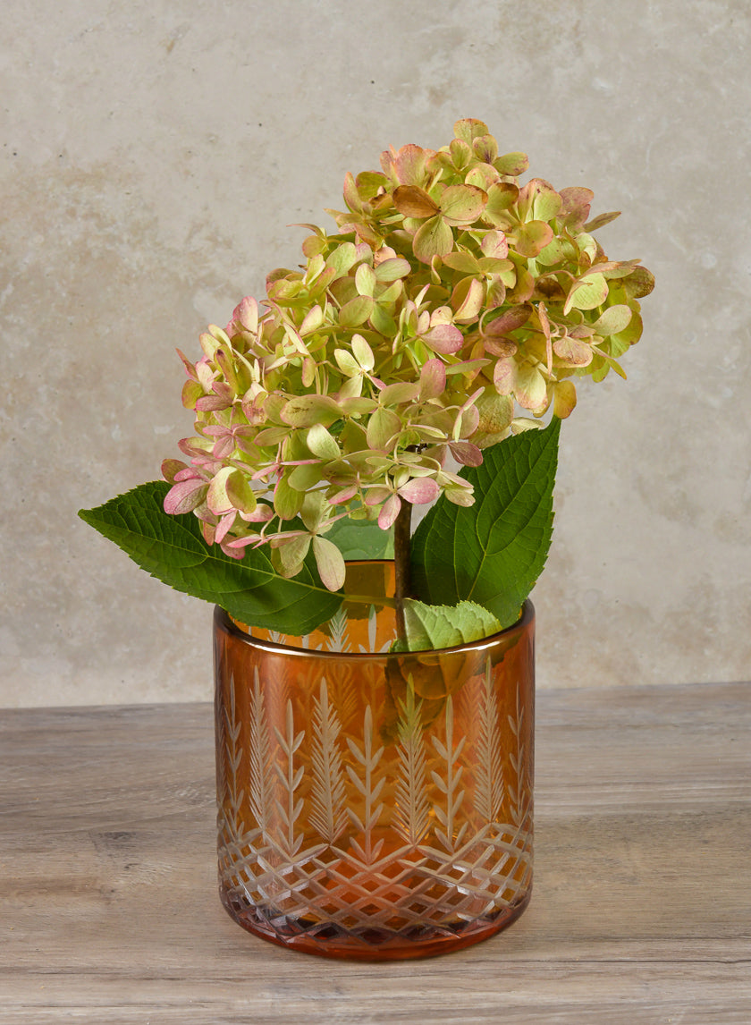4in Tall Almira Palm Amber Cut Work Cylinder Glass Candleholder Decor Jamaligarden