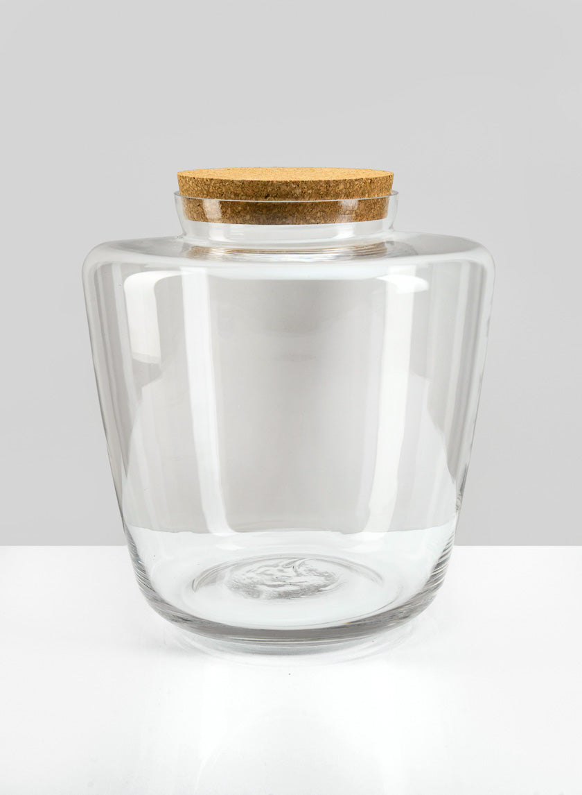 11in Tall Pantanal Glass Terrarium with Cork, Large Decor Jamaligarden