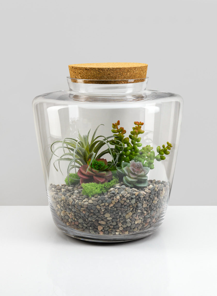 11in Tall Pantanal Glass Terrarium with Cork, Large Decor Jamaligarden