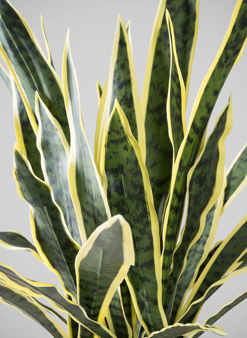 27in Tall Real Touch Real Look Snake Plant in Pot Decor Jamaligarden