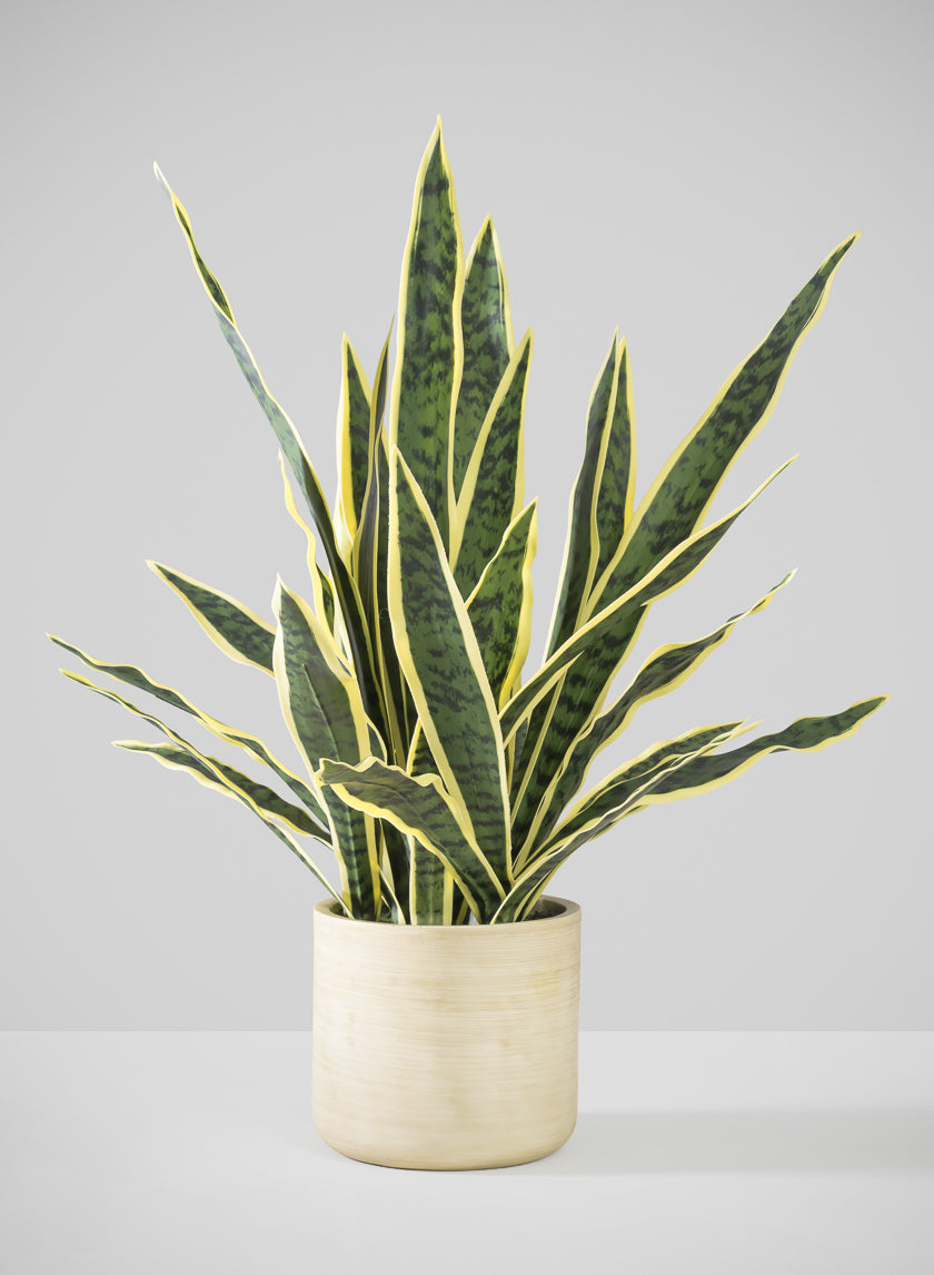 27in Tall Real Touch Real Look Snake Plant in Pot Decor Jamaligarden
