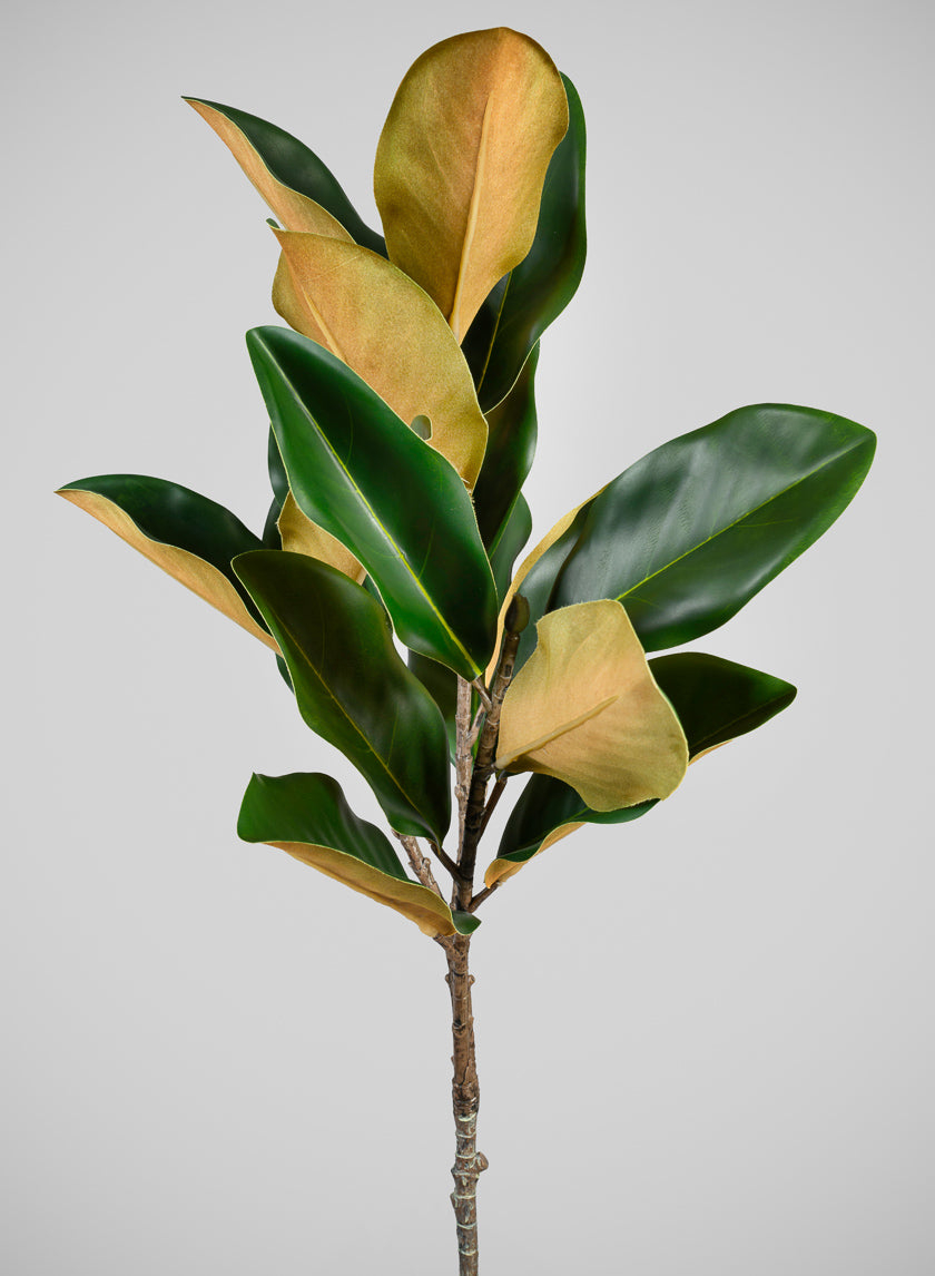 40in Long Real Touch Real Look All Season Magnolia Leaves Stem Decor Jamaligarden