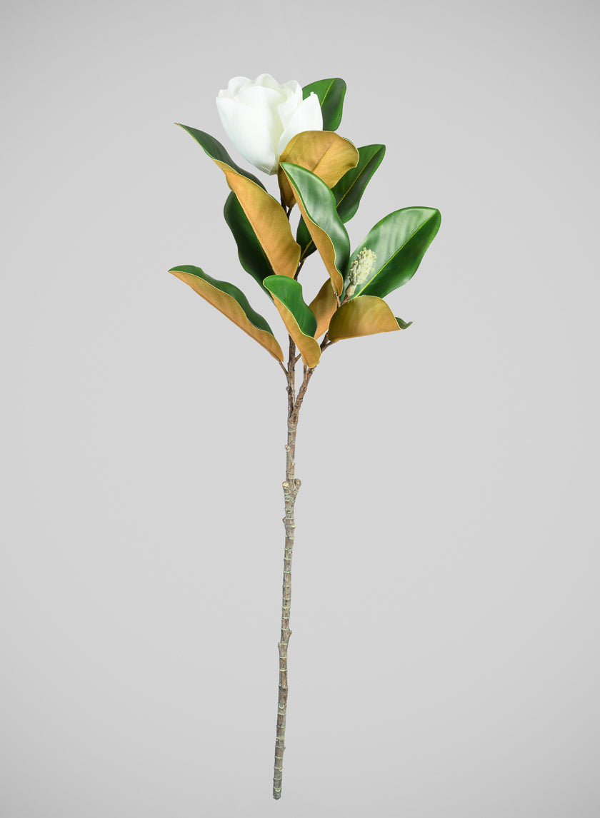 34in Long Real Touch Real Look Blooming Magnolia Stem Decor Jamaligarden