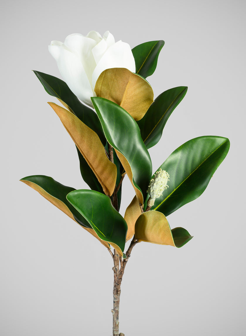 34in Long Real Touch Real Look Blooming Magnolia Stem Decor Jamaligarden