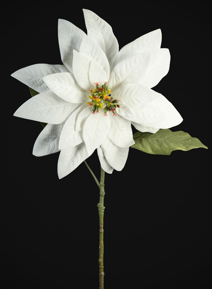 29in Long Real Touch Real Look White Poinsettia Stem, Case of 12 Decor Jamaligarden