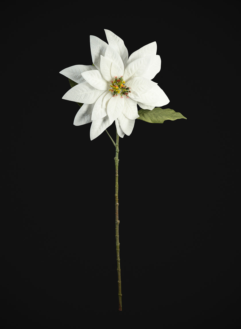 29in Long Real Touch Real Look White Poinsettia Stem, Case of 12 Decor Jamaligarden