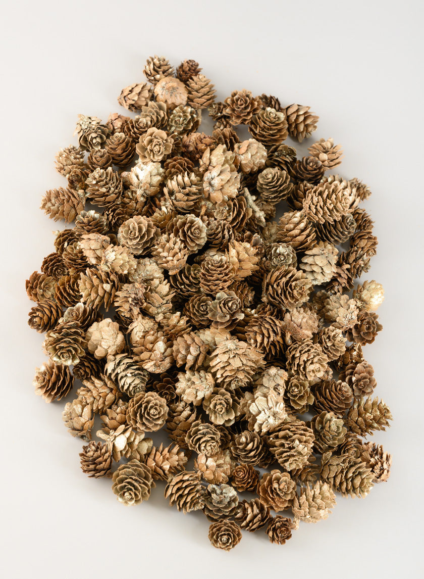 250G Champagne Mini Pinecones in Net Bag Decor Jamaligarden
