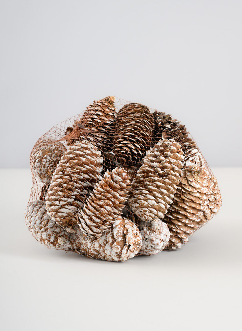 300G White Tip Long Pinecones in Net Bag Decor Jamaligarden
