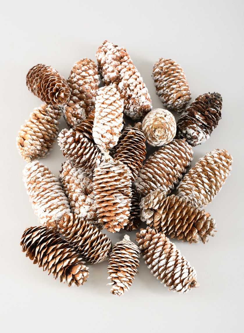 300G White Tip Long Pinecones in Net Bag Decor Jamaligarden
