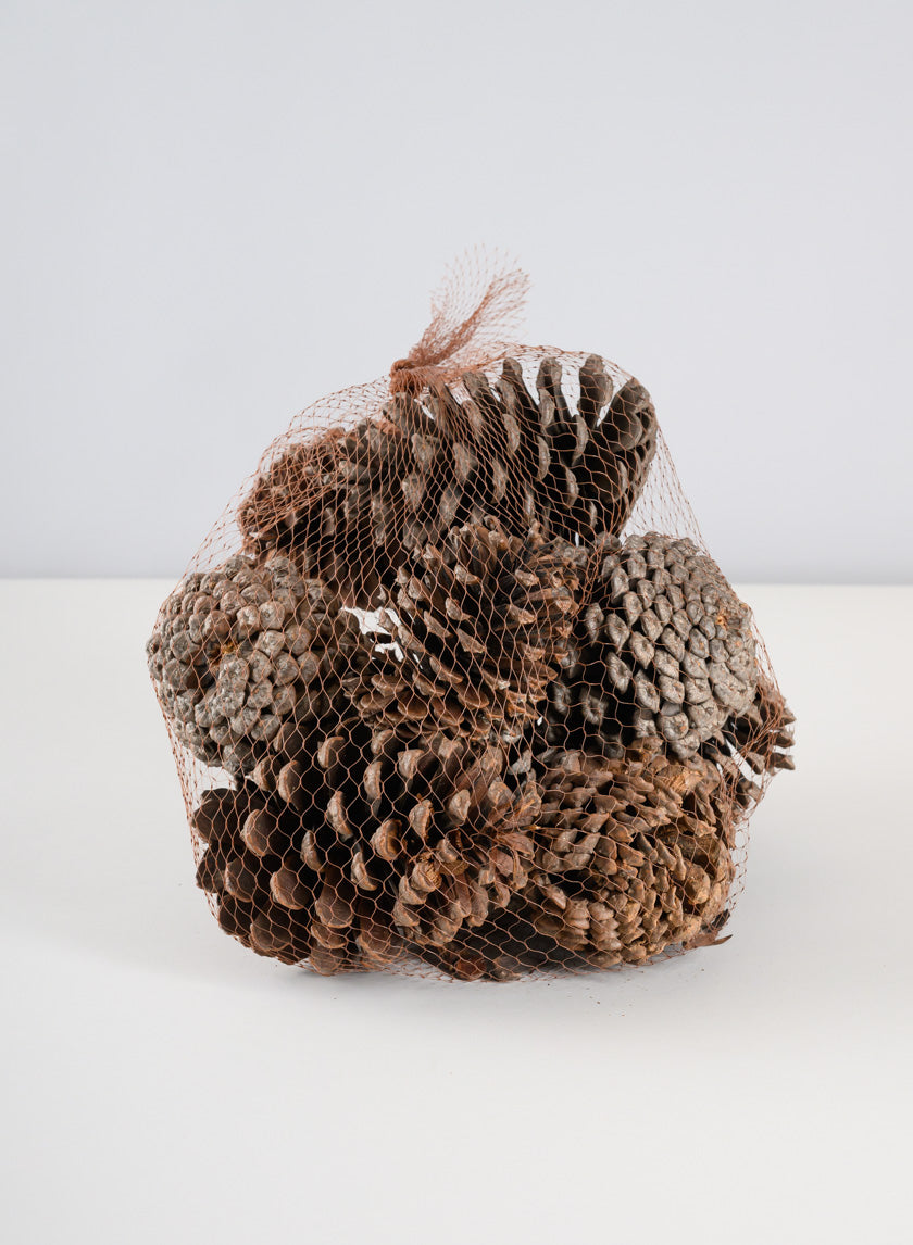 300G Sugar Pinecones in Net Bag Decor Jamaligarden