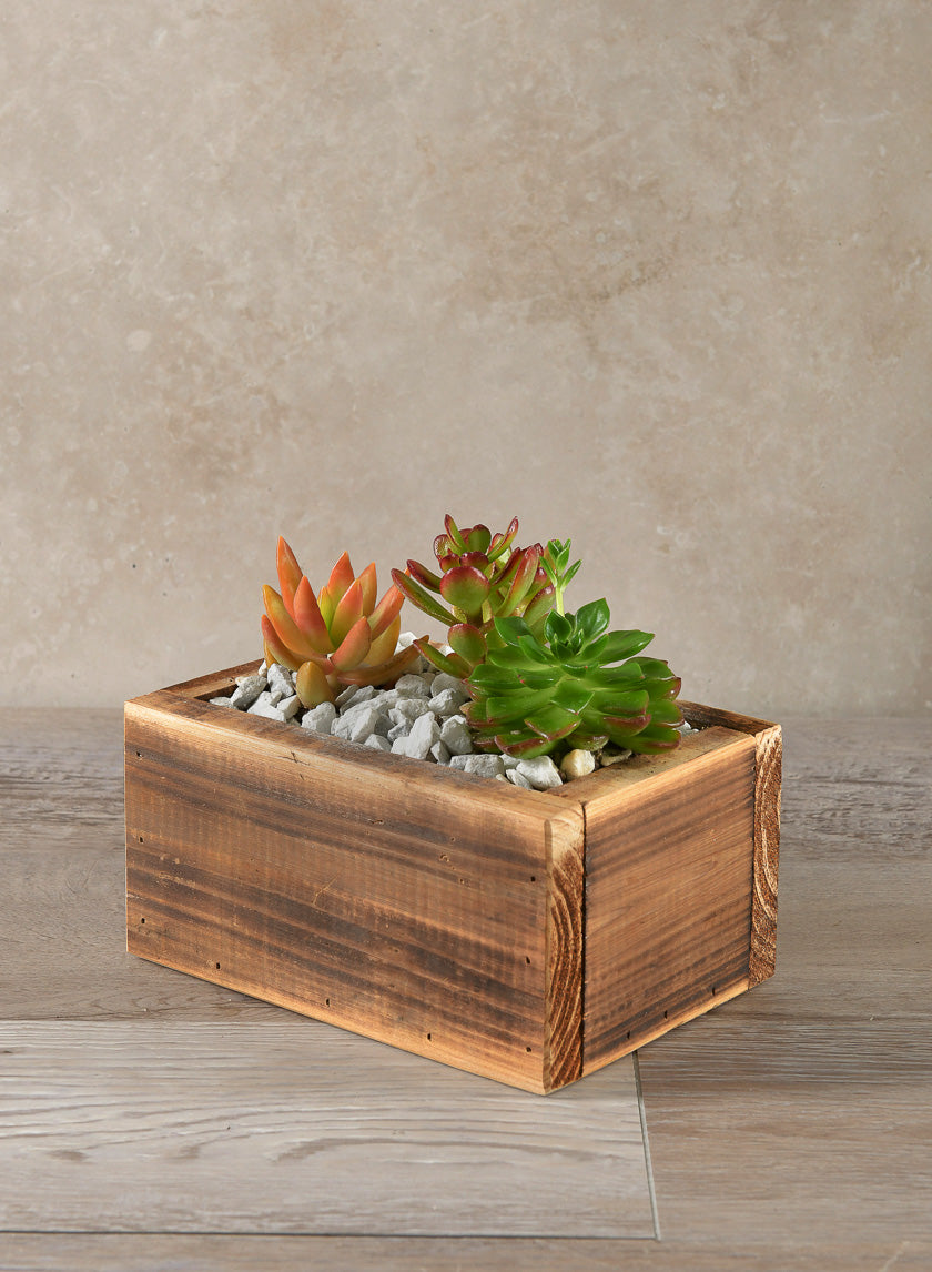 7in Long Burnt Wood Box, Mini Decor Jamaligarden
