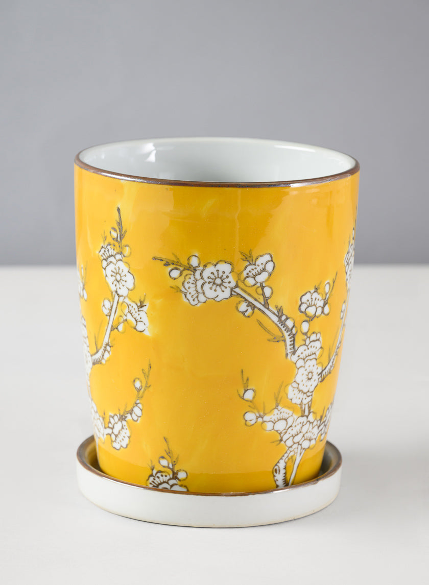 6in Tall Ming Safron Ceramic Pot with Saucer Decor Jamaligarden