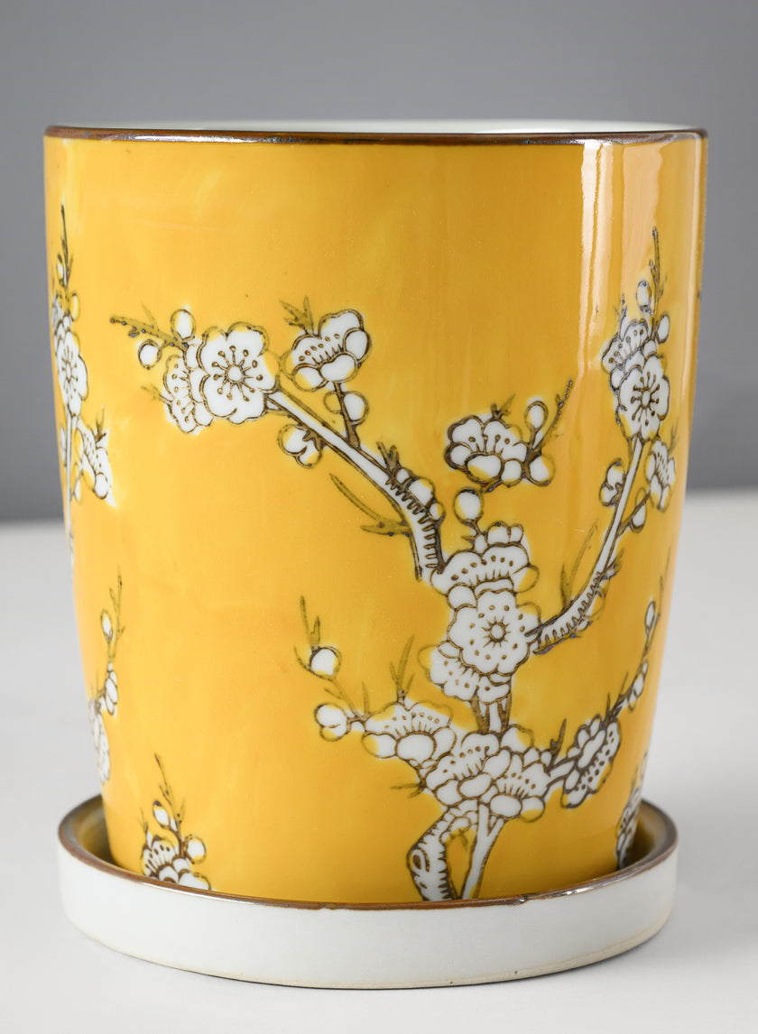 6in Tall Ming Safron Ceramic Pot with Saucer Decor Jamaligarden