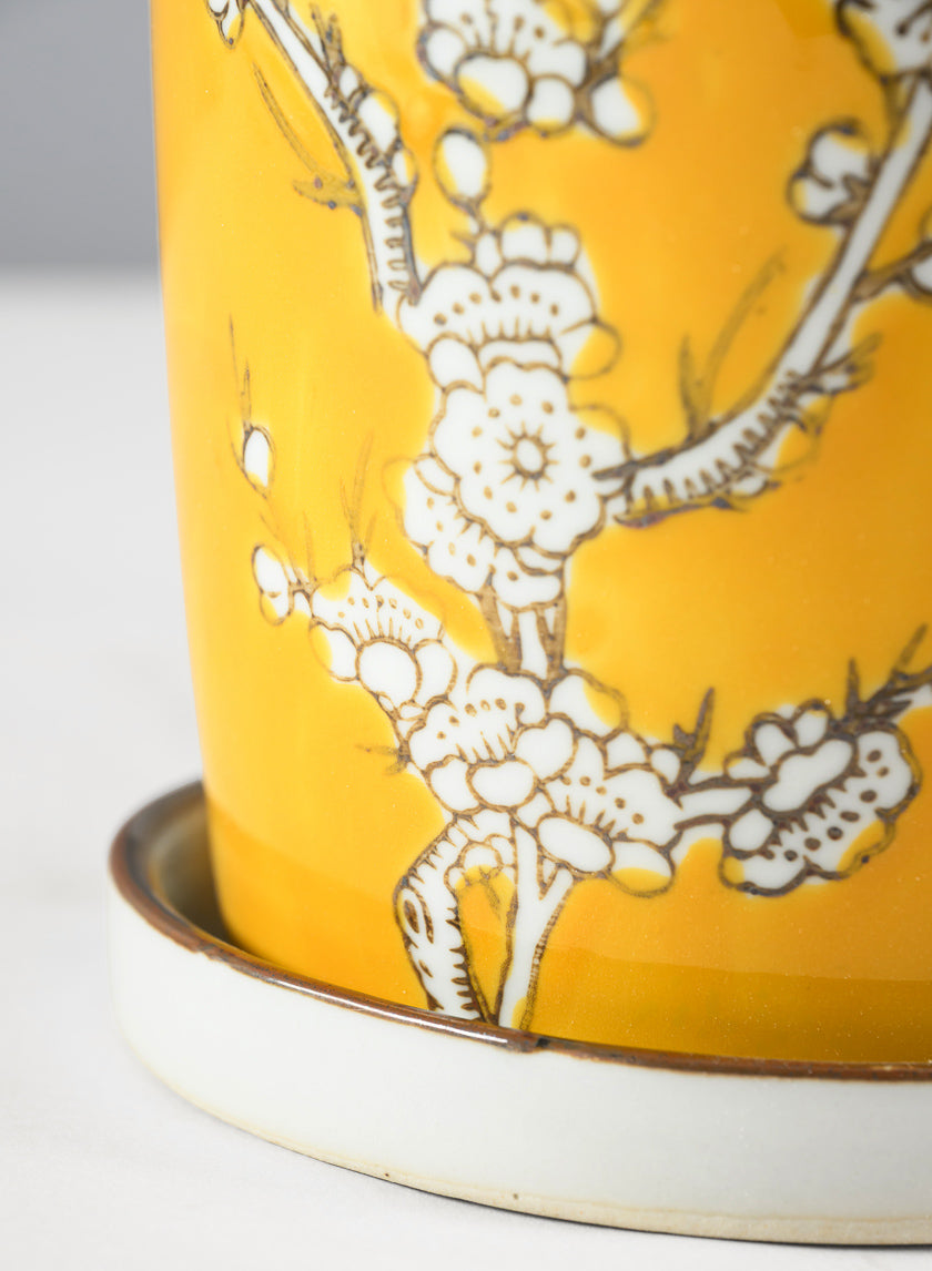 6in Tall Ming Safron Ceramic Pot with Saucer Decor Jamaligarden