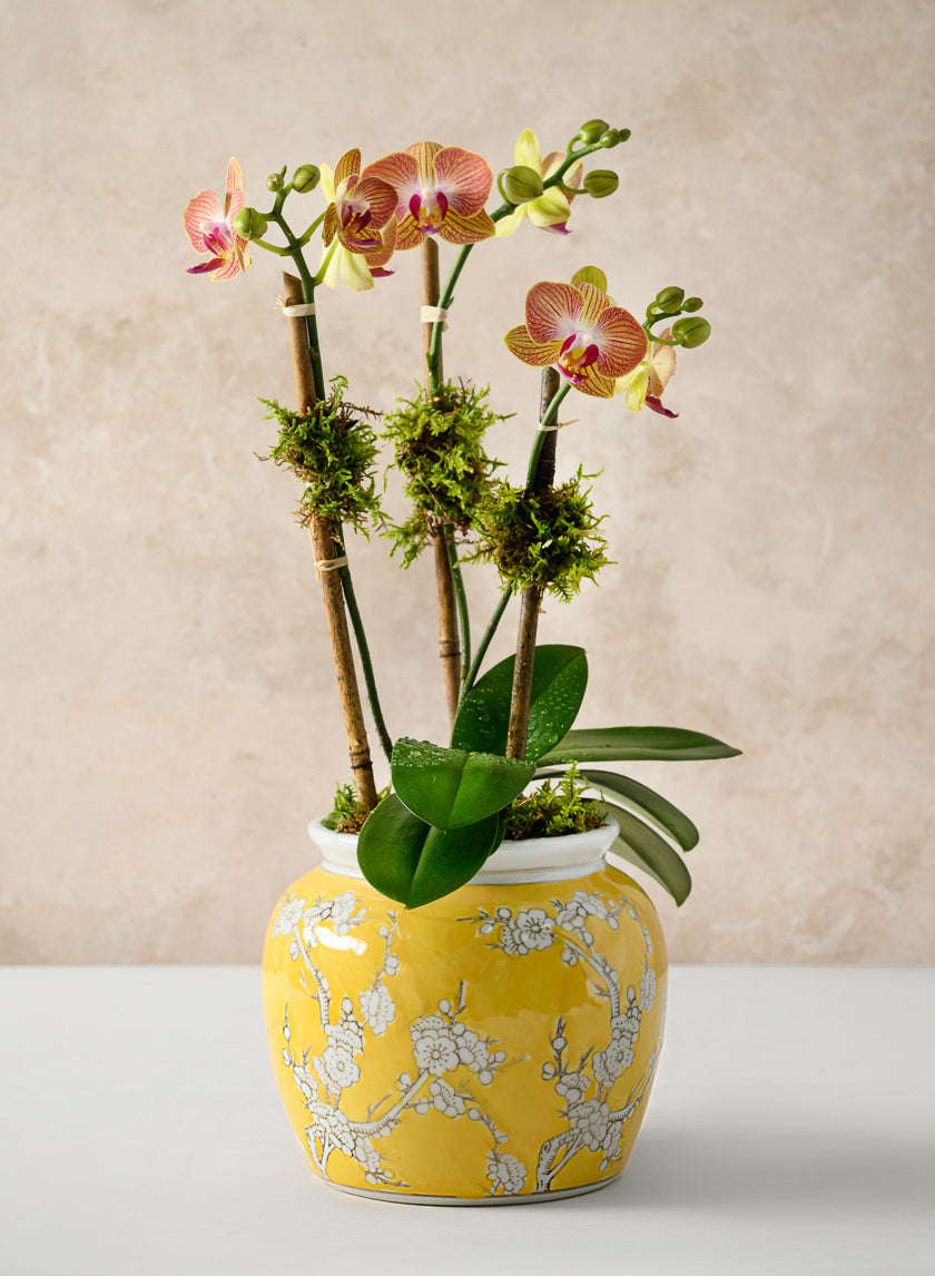 6in Tall Ming Safron Bell Ceramic Vase Decor Jamaligarden