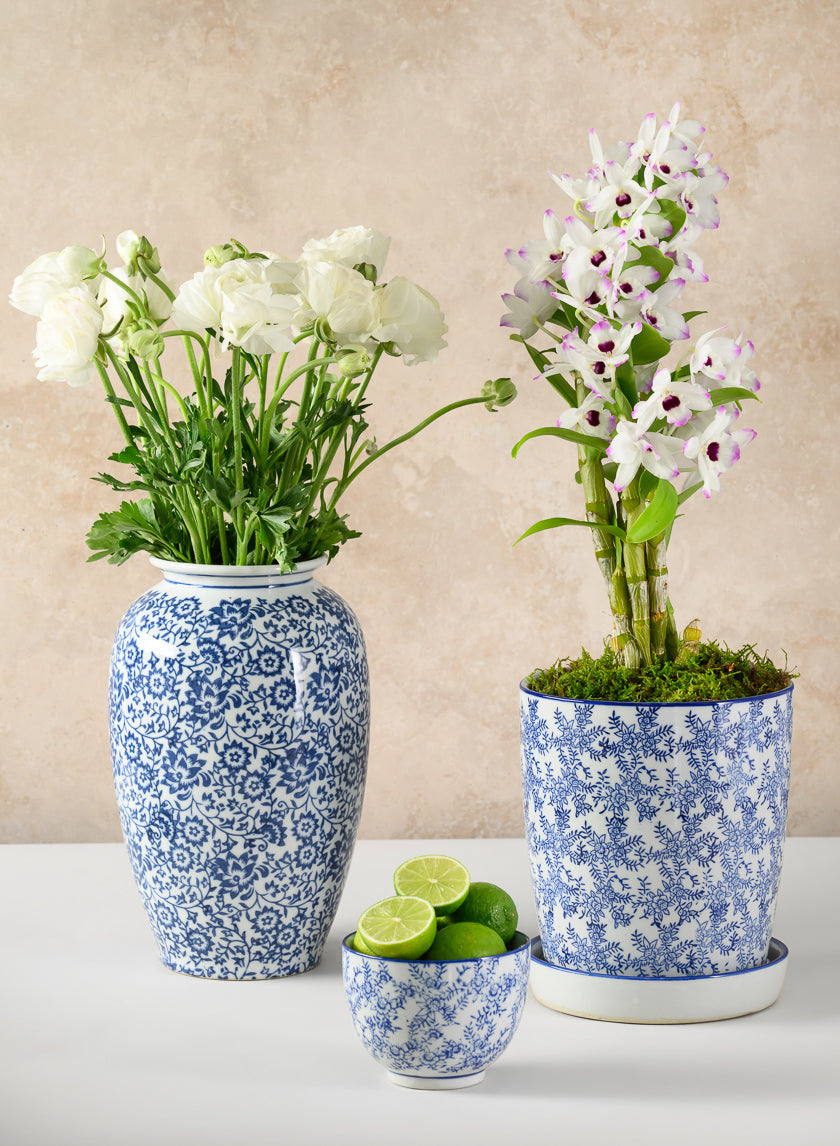 8in Tall Provence Ceramic Planter with Saucer Decor Jamaligarden