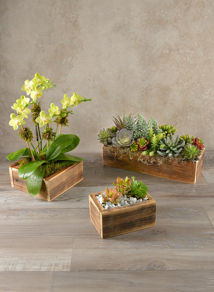 7in Long Burnt Wood Box, Mini Decor Jamaligarden