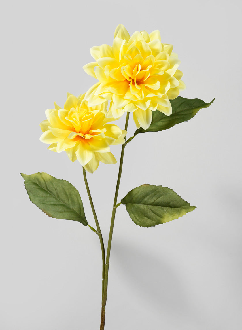 31in Long Double Yellow Dahlia Stem Decor Jamaligarden
