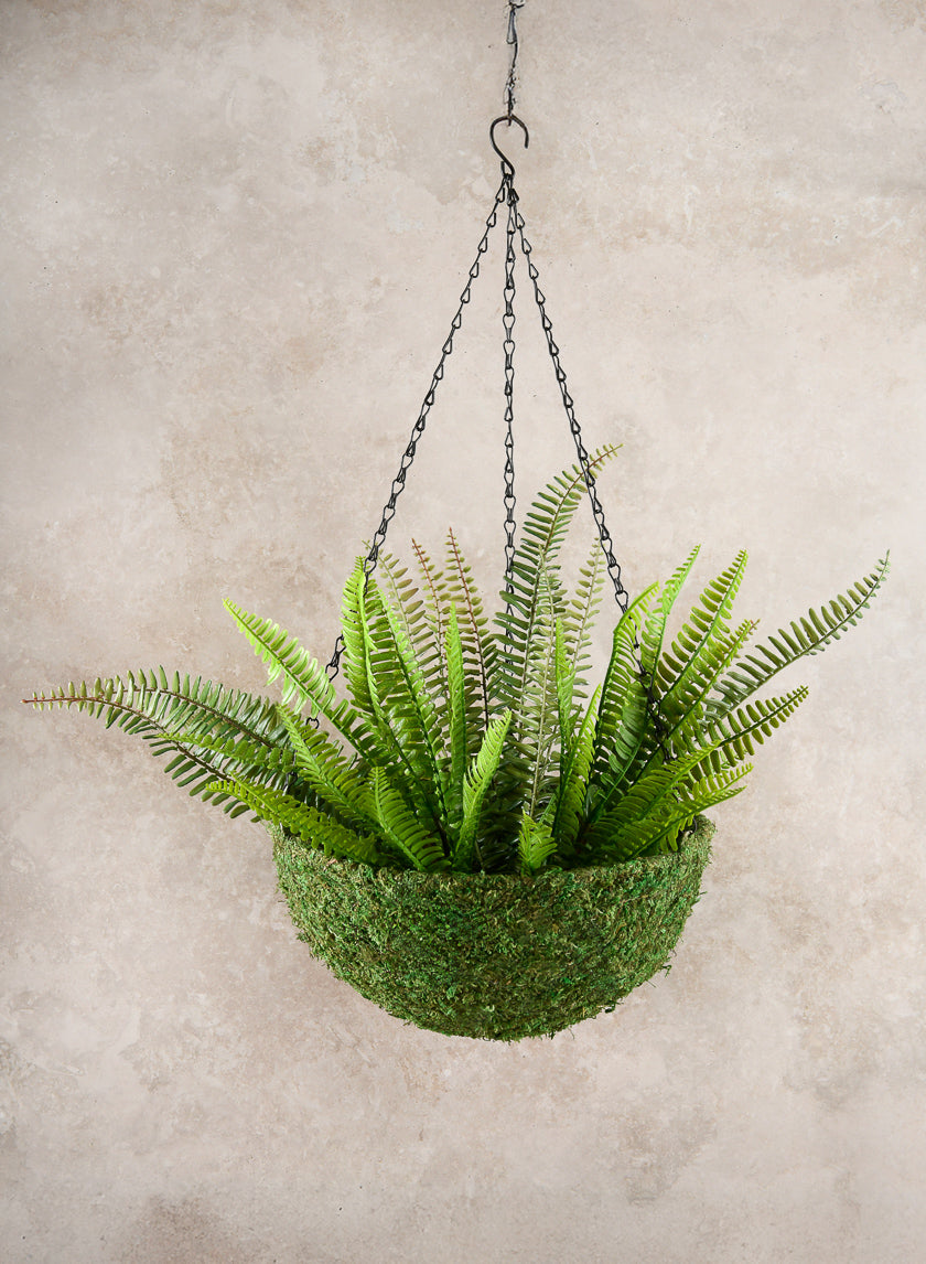 12in Wide Green Moss Basket Decor Jamaligarden