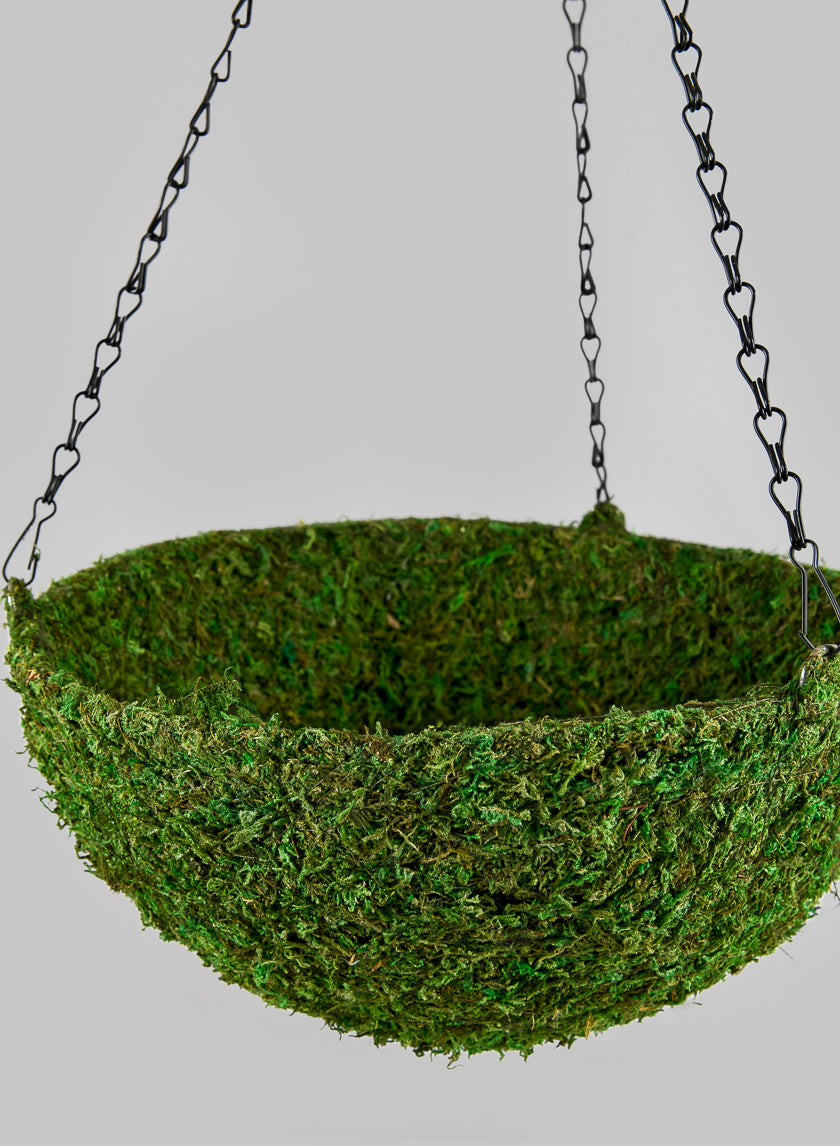 12in Wide Green Moss Basket Decor Jamaligarden