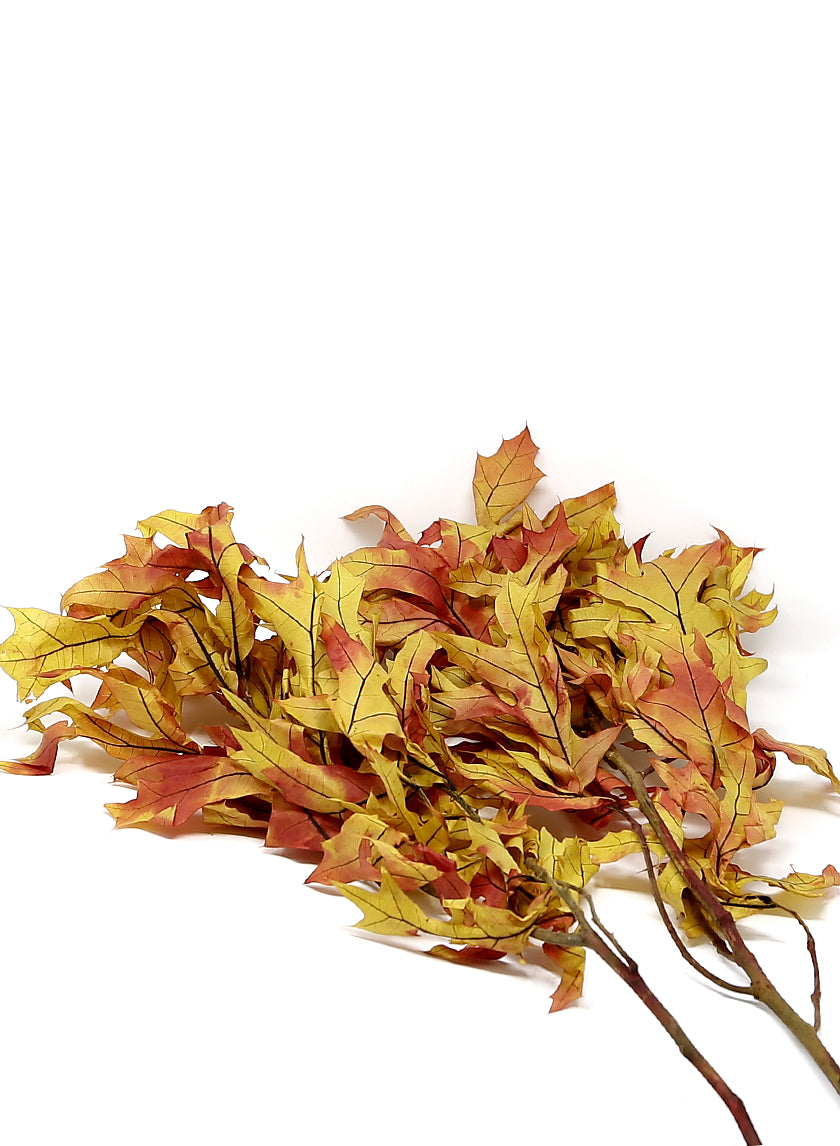 Transparent Autumn Oak Leaves, 1.0 lbs. Decor Jamaligarden