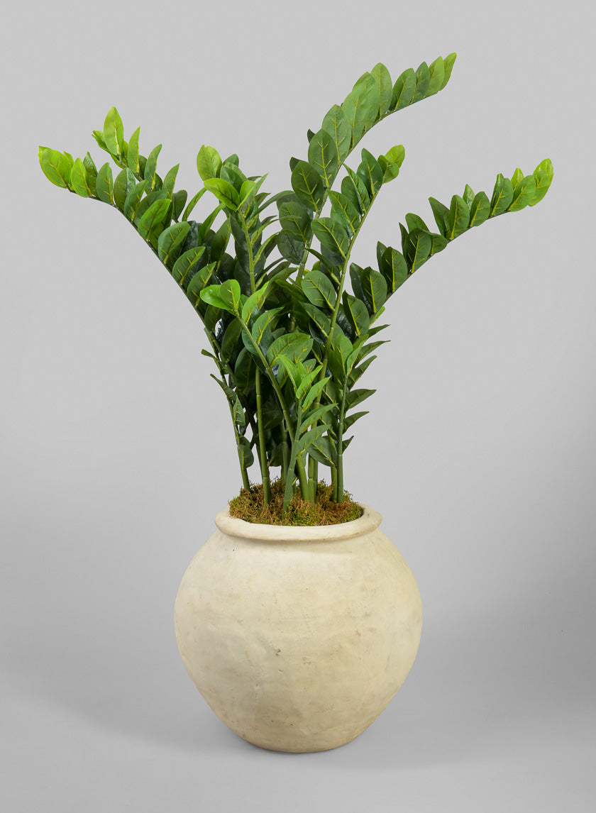 Petra Aged White Wash Fishbowl Planter Decor Jamaligarden