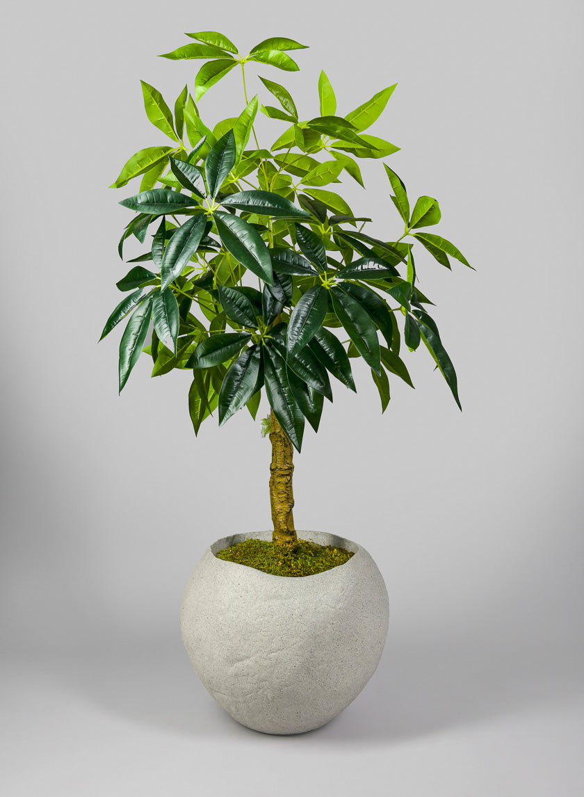 13in Tall Shirak Poly-Stone Sand Beige Planter Decor Jamaligarden