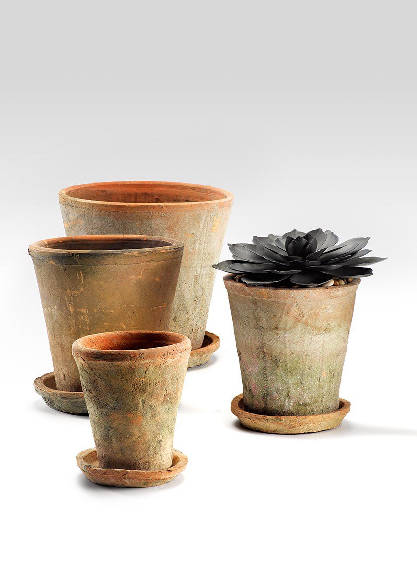 Mossed Redstone Rose Pot With Saucer Decor Jamaligarden
