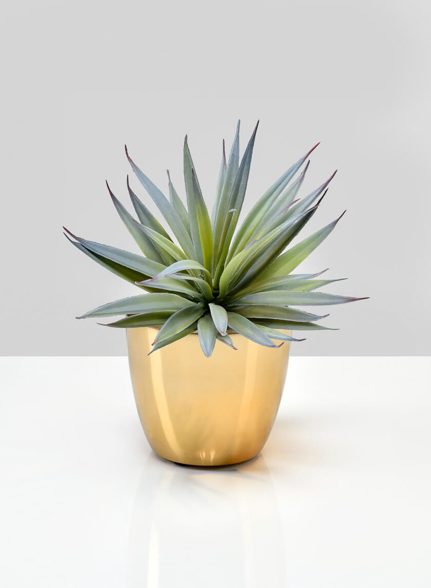 3.5in Tall Gold Elegance Cachepot Decor Jamaligarden